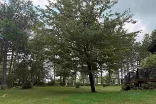 3938 Cedar St, Ely, MN 55731 - Photo 31