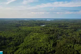 6991 Crane Lake Rd, Crane Lake, MN 55725 - Photo 23