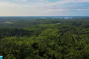 6991 Crane Lake Rd, Crane Lake, MN 55725 - Photo 25