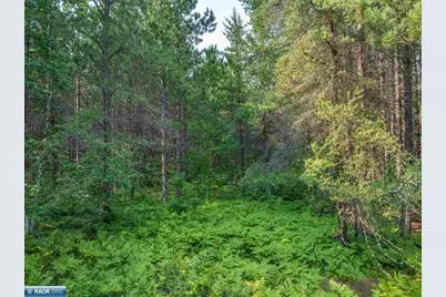 Tract D Hwy 21, Babbitt, MN 55706 - Photo 5