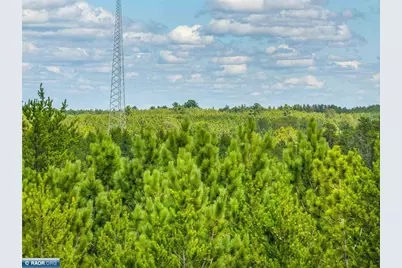Tract C Hwy 21, Babbitt, MN 55706 - Photo 5