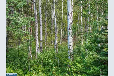 Tract B Hwy 21, Babbitt, MN 55706 - Photo 7