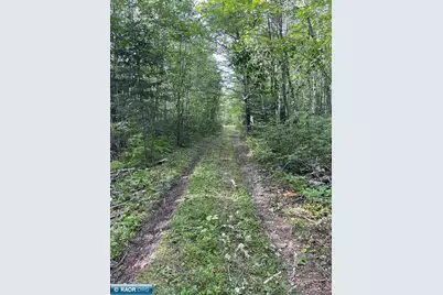 9395 Fr 259, Cook, MN 55723 - Photo 13
