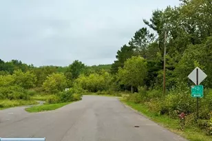 101 State St, Buhl, MN 55713 - Photo 27