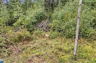 10745 Hwy 37, Hibbing, MN 55746 - Photo 23