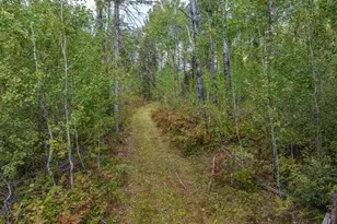 4965 Waisanen Rd, Embarrass, MN 55732 - Photo 33