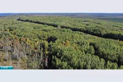 Tbd Parcel 4 Hwy 115, Tower, MN 55790 - Photo 5