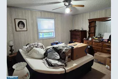 3334 Highway 53, Ray, MN 56649 - Photo 5