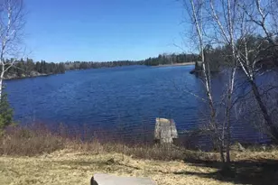 2730 Birch River Rd, Babbitt, MN 55706 - Photo 3
