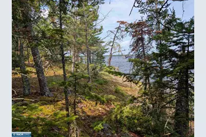 1944 Grindstone Island, Ray, MN 56649 - Photo 31