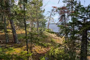 1944 Grindstone Is, Ray, MN 56649 - Photo 31