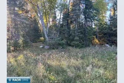 Tbd Lost Lake Rd., Tower, MN 55790 - Photo 7