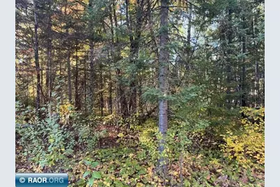 Tbd Lost Lake Rd., Tower, MN 55790 - Photo 3