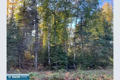 Tbd Lost Lake Rd., Tower, MN 55790 - Photo 9