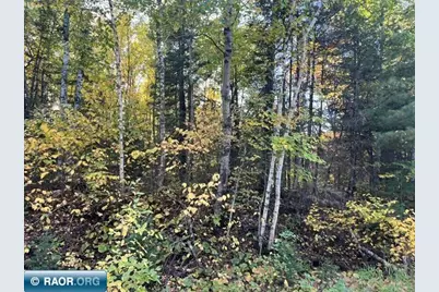 Tbd Lost Lake Rd., Tower, MN 55790 - Photo 11