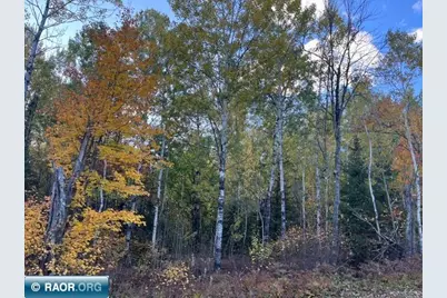 Tbd Lost Lake Rd., Tower, MN 55790 - Photo 13