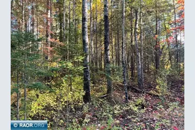 Tbd Lost Lake Rd., Tower, MN 55790 - Photo 5
