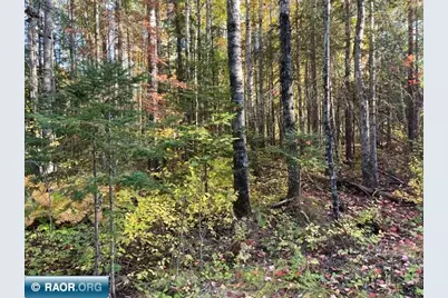 Tbd S Loon Lake Rd., Aurora, MN 55705 - Photo 5