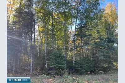 Tbd S Loon Lake Rd., Aurora, MN 55705 - Photo 9