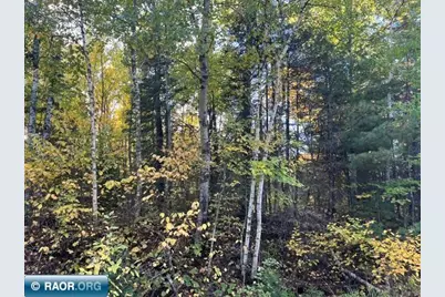 Tbd S Loon Lake Rd., Aurora, MN 55705 - Photo 11