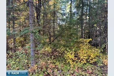 Tbd S Loon Lake Rd., Aurora, MN 55705 - Photo 3