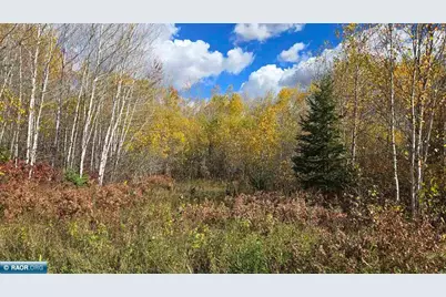 Tbd 28.9 Rangeline Rd, Orr, MN 55771 - Photo 21