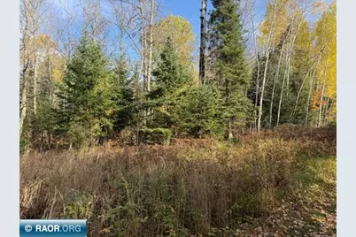 9945 9945 Hwy 22, Angora, MN 55703 - Photo 3