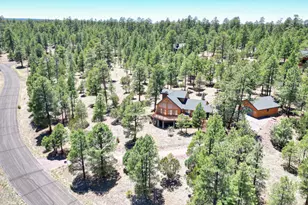 3028 Hopi Dr, Happy Jack, AZ 86024 - Photo 1