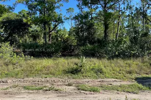 1201 Dixie, Lehigh Acres, FL 33972 - Photo 1