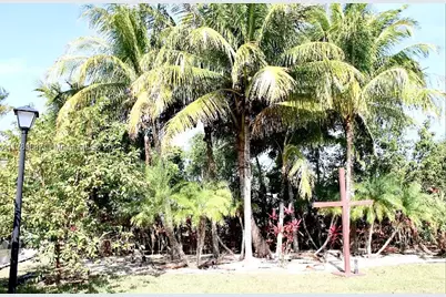 31050 SW 193rd, Homestead, FL 33030 - Photo 57