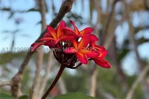 1910 SW 183rd, Miramar, FL 33029 - Photo 33