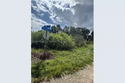 1005 Portland, Lehigh Acres, FL 33974 - Photo 5