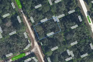 1131 Butternut, Lake Placid, FL 33852 - Photo 1