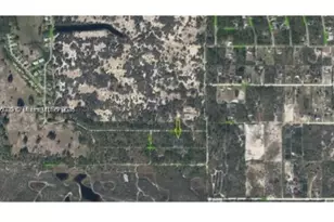 320 Tannery, Lake Placid, FL 33852 - Photo 1