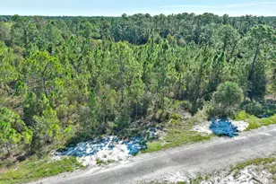 839 Kaley Ave S, Lehigh Acres, FL 33974 - Photo 1