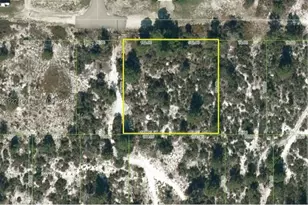 1013 Tennyson, Lake Placid, FL 33852 - Photo 1