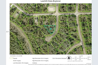1845 Norma, Lehigh Acres, FL 33972 - Photo 1