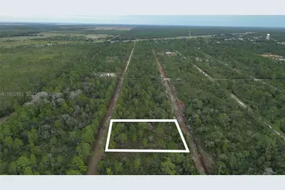215 Ixora, Other Fl City, FL 33855 - Photo 19