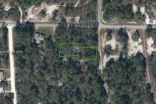 405 Blue Horizon, Lake Placid, FL 33852 - Photo 1