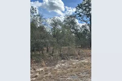 [Address not provided], Ocala, FL 34481 - Photo 3