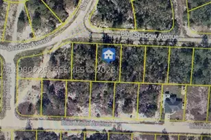 459 Ruba, Lake Placid, FL 33852 - Photo 1