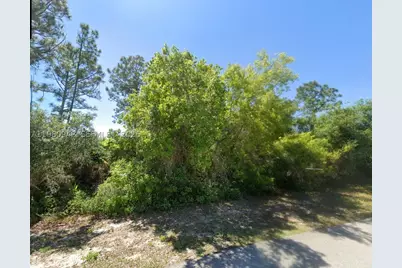 235 Deerwalk, Lake Placid, FL 33852 - Photo 9