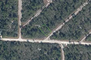 3543 Venetia, Lake Placid, FL 33852 - Photo 1
