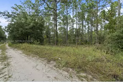 0 SW 30th, Ocala, FL 34481 - Photo 3