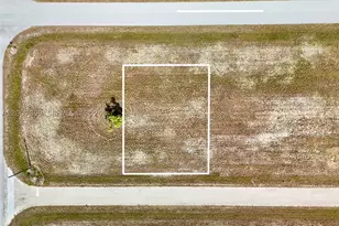 18 Cockatiel, Placida, FL 33946 - Photo 1