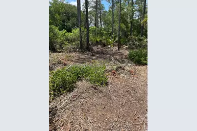117 Lodge Pole, Georgetown, FL 32139 - Photo 3