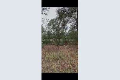1699 SW 153, Ocala, FL 34481 - Photo 3