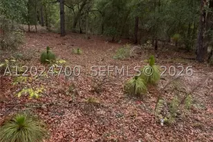 1373 SW 153rd, Ocala, FL 34481 - Photo 1