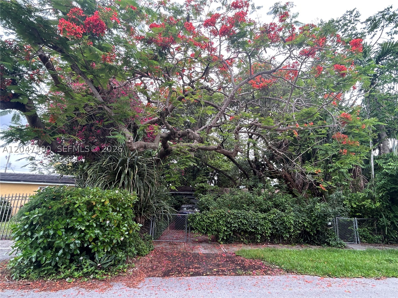 8285 SW 47th - 8285 SW 47th, Miami, FL 33155 Luxury Property | Jose Angel Pina