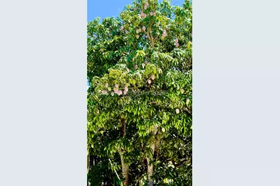 27803 SW 172nd, Homestead, FL 33031 - Photo 47